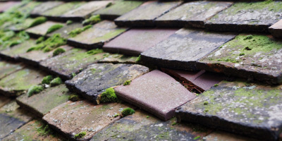 Poundon roof repair costs